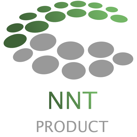 logo Nanoneurotec